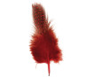 Dekoratyvinė plunksna Rayher Deco 6cm 2g juoda/raudona