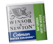Cotman Water Colour Half Pan 599 sap green