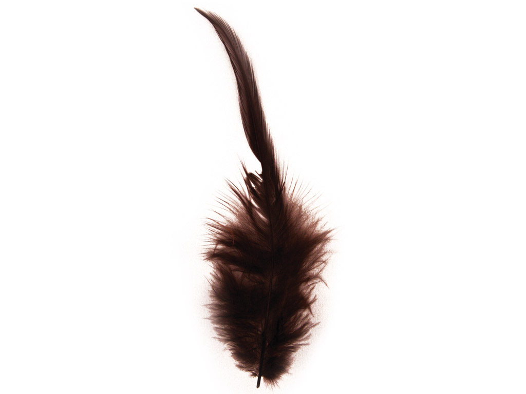 Dekoratyvinė plunksna Rayher Trendy 10-15cm 2g tamsiai ruda