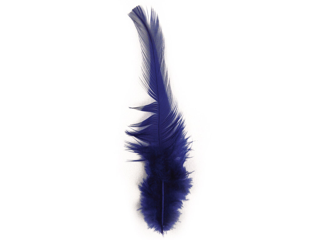 Dekoratyvinė plunksna Rayher Trendy 10-15cm 2g tamsiai mėlyna
