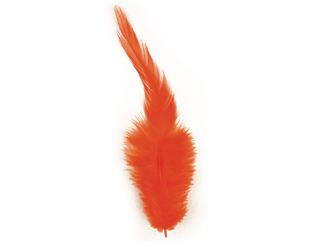 Dekoratyvinė plunksna Rayher Trendy 10-15cm 2g oranžinė
