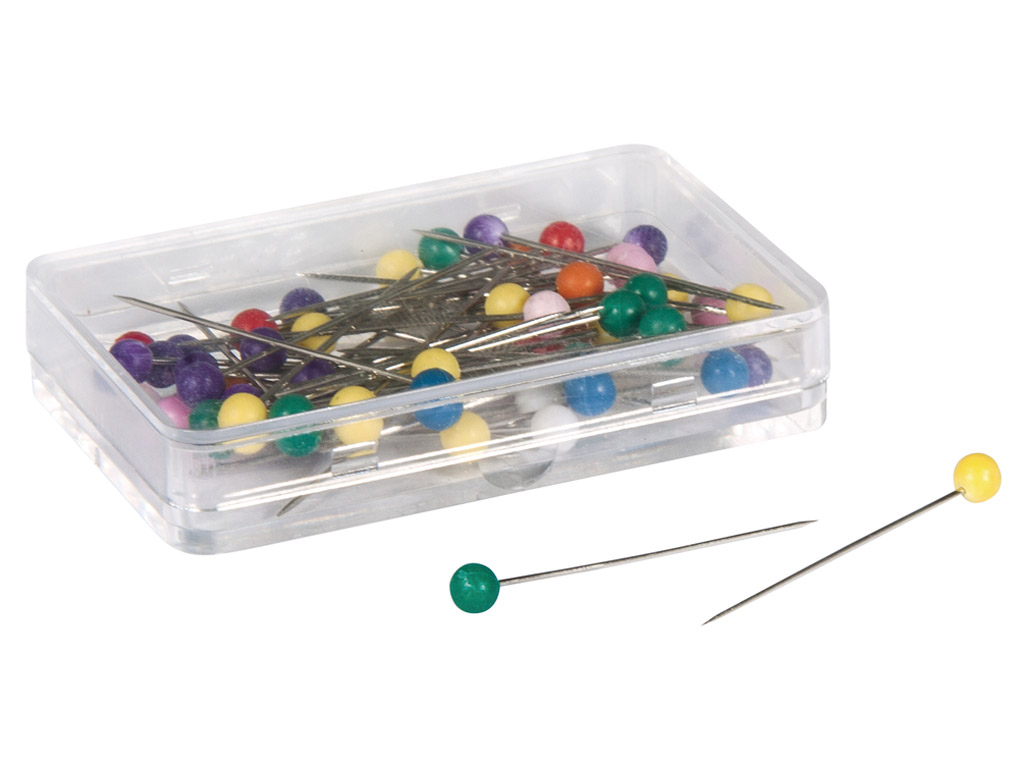 Smeigtukai su plastikine galvute Rayher 31x0.6mm 50vnt. rinkinys