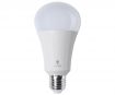 LED lemputė (dienos šviesos) Daylight 15W E27