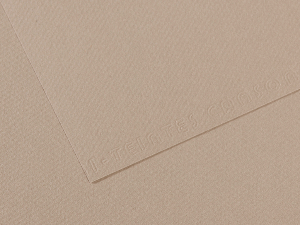 Pasteļpapīrs MiTeintes raupjš A4/160g 122 flannel