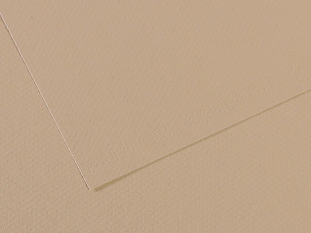 Pasteļpapīrs MiTeintes raupjš A4/160g 343 pearl