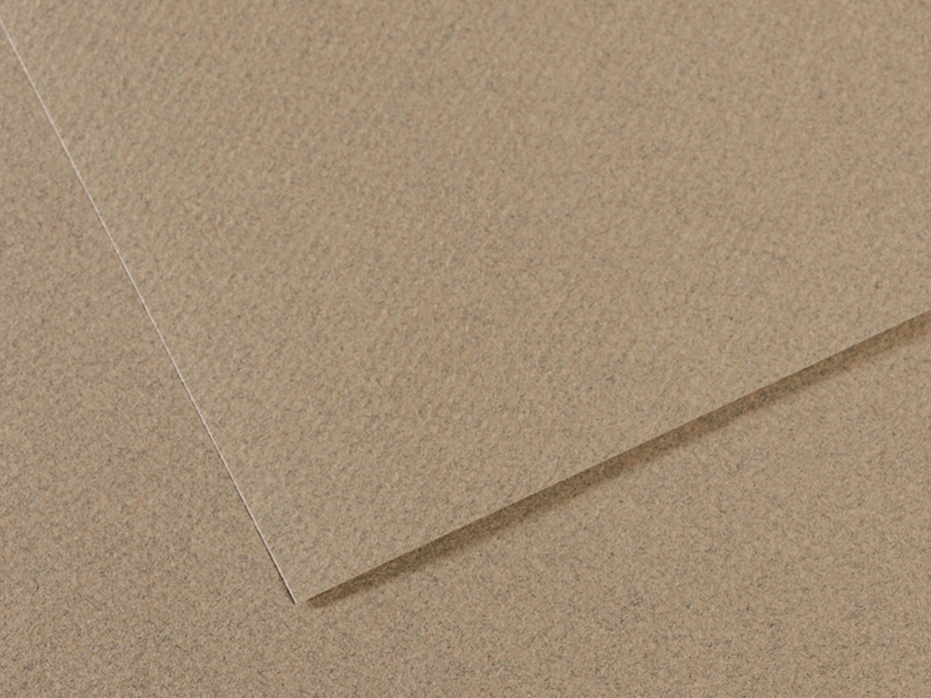 Pasteļpapīrs MiTeintes raupjš A4/160g 429 felt