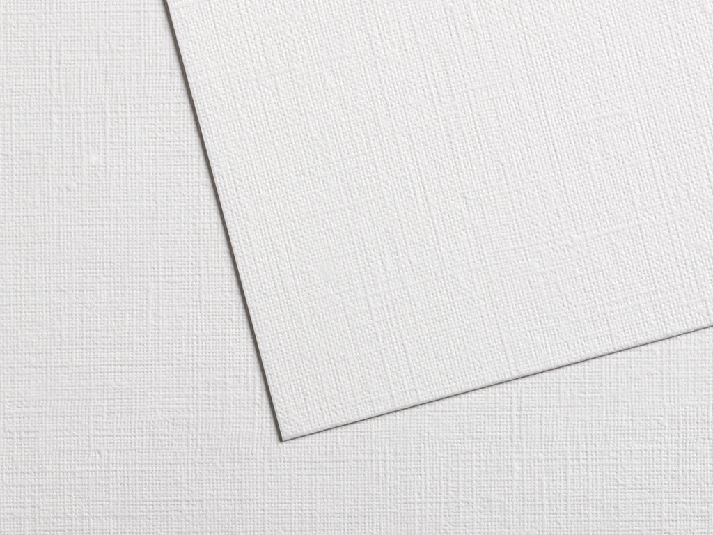 Oil paper Canson Figueras 65x100/290g