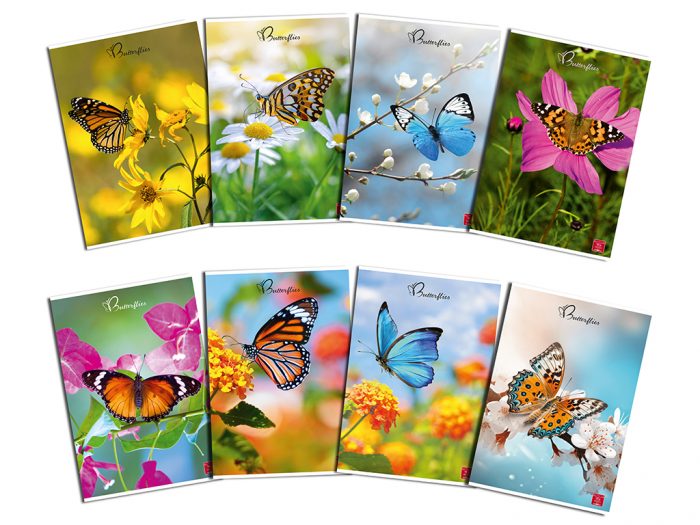 Exercise book Pigna Maxi Butterflies